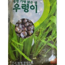 우렁이 국내산 왕 우렁 가평 맑은물 우렁이살 1kg 손질 우렁이살, 1개