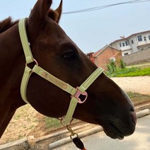 말 고삐 승마 로프 말고삐 장비 훈련 승마용품 굴레 말굴레, 대형 연녹(1.4m 말)