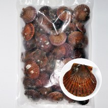 푸드마을 냉동 홍가리비 1kg 가리비 조개구이