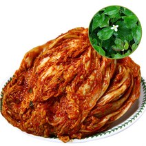 국내산 유기농 한방 포기김치3kg, 그라비올라포기김치, 김치3kg