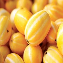 성주 참외 가정용 2.5kg 5kg 10kg (등급 - 상), 1box, [16]선물용 참외 10kg / 대과