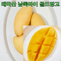 태국산 남독마이 골드망고 2.5kg 5kg 골드 망고 골드 무지개 망고 태국 망고 선물세트
