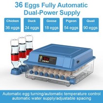 파충류 카멜레온 도마뱀 닭 앵무새 알 인큐베이터 인큐베이팅 부화기 36 개의 계란 서랍 타입 미니 자동 물 이온 워터 베드 보충 및 온도 제어 기능 포함, 36 Eggs, 220V EU Plug, 러시아
