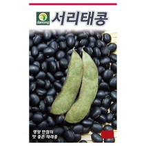 다농 서리태콩 씨앗 50g, 상세 설명 참조