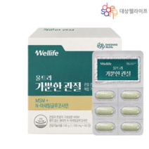 MSM msn N아세틸 글루코사민 관절 연골 디메틸설포 대상웰라이프 가뿐한 관절 MSM