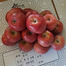 산지직송 경북영천 다홍이부사 고당도 햇 꿀맛 부사 사과 중소과 5kg 22~24개입, 중소과 5kg(22~24개입)