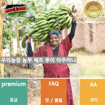 캅카와 생두 케냐 AA FAQ+ 케리초 (뉴크롭), 1kg