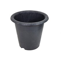 고무 원형화분 플분 삽목 수목 분갈이 블루베리 화분 260x210, 단품, 단품
