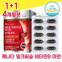 식약청 식약처 인증 인정 캐나다 밀크씨슬 밀크시슬 미크시슬 밀크시술 실리마린 추출물 아연 엽산 비타민 A B 간 건강 좋은 음식 남성 남자 여성 여자 40대 60대 50대 피로회복, 1+1 4개월분 - 다니마켓