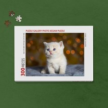 300피스 반려동물 사진 직소퍼즐 제작 (액자포함), 쿠팡더좋은굿즈 본상품선택, 쿠팡더좋은굿즈 11. 우드화이트, 쿠팡더좋은굿즈 본상품선택