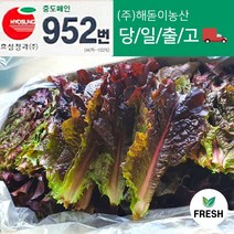 <해돋이농산> 국내산 적상추 상추 쌈채소 쌈야채 1kg 2kg” class=”wr-img”></a></div></div></div></div><div class=