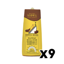 치엔바오 초코바나나 샌드위치 60g x 9개, 단품