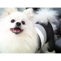 랑힐트 강아지 고양이 털갈이 전용 옷, 핑크