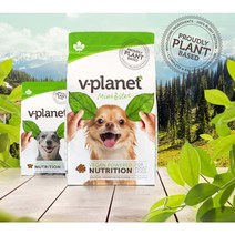 브이플래닛 비건사료 2kg 6.8kg 13.6kg 미니바이트 레귤러바이트, 선택:01. 미니 바이트 6.8kg