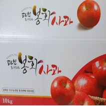 봉화사과 백두대간 송이사과 5kg 22-24내외 청량산사과 파인토피아, 상세페이지 참조, 상세페이지 참조