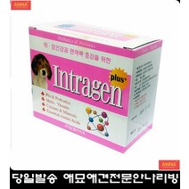 위 약한 애완견 건강관리 돕는 영양제 강아지약먹이기 애견종합영양제