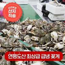 연평도 100% 활꽃게를 급냉한 냉동꽃게 1kg(4~6미), 암꽃게 5kg(20~30미)