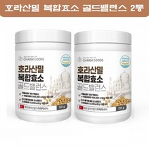 참굿즈 호라산밀 효소 곡물 발효 분말 식품 가루 아밀라제 프로테아제 2통
