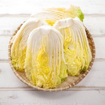 (예약중)유기농 절임배추/10kg/무료배송