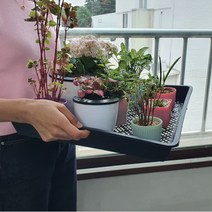 삽목판 삼목판 배란다 화분 다육이 받침대 정사각