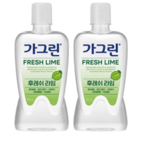 1+1 동아제약 가그린 후레쉬 라임 상쾌한 라임향 충치원인균 99.9%살균(380ml/750ml), 380ml, 380ml