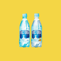 탄산수 플레인 + 배 500ml x 40개입, 단품, 단품