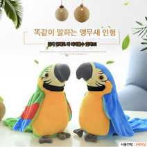 똑같이 말하는 따라쟁이 앵무새 인형 완구 인기 목소리녹음인형 말하는새인형 앵무새인형 말하는인형 앵무새장난감 어른 어른들이좋아하는 동물인형 재미있는 필수템 블루 작동인형, 그린