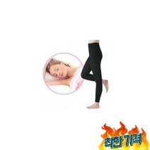 일본아이디어쇼 다리 보정, L