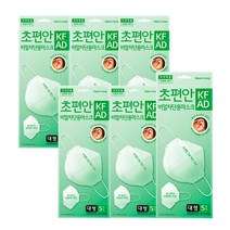 초편안 비말차단 마스크 대형 5매입 X 6개 (총 30매), 비말차단 마스크 대형 5매 6개 (총 30매)