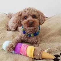 찍찍 바스락 강아지 장난감 갱얼쥐토이 반려견붕가붕가인형 강지치실, 1개