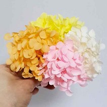 수국 안나수국 프리저브드수국 드라이플라워 프리저브드플라워 말린꽃 프리저브드 인테리어 꽃소품, 5g, 화이트