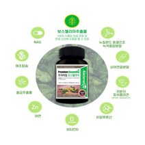 인도산 프리미엄 보스웰리아60정