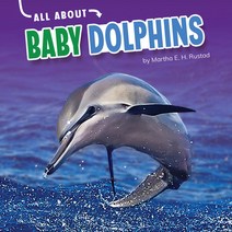All about Baby Dolphins Hardcover, Pebble Books, English, 9781663907837