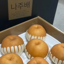 명품 나주배 고당도 신고 배 아삭하고 달콤한 나주 특산품 산지직송, 5kg(8~10과), 신고 상품 가정용