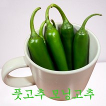 국내산 국산 모닝고추 풋고추 못난이 가정용 업소용 요리용 쌈채소 1kg 내외