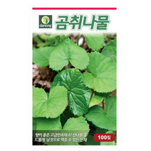 다농 곰취나물 씨앗 100립, 18개