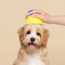 앱코 오엘라 반려동물 고양이 강아지 실리콘 저자극 빗 펫 브러쉬 OP-PB01, 화이트