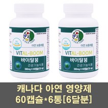 캐나다아연 아연 징크 영양제 글루콘산아연 마그네슘 면역력 알부민 난백 로얄젤리 인삼 호손베리 분말 가루 캡슐 어린이아연 남자 여자 가족, 6통, 60캡슐