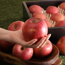 아침의뜰 [실속형]경북사과4kg(18과내) 공유하기 페이스북 트위터 닫기