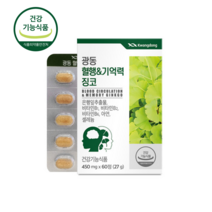 고함량 징코 기억력 혈액순환 혈행 도움 약2개월 뇌 두뇌 손발 다리 영양제 에 좋은 은행잎추출물 메디 빌로바 부모님 감퇴 식약청 식약처 청소 여성 남성 플러스 세현코리아 사은품, 60정, 1박스