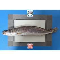 반건조 민어조기 몽실이 제수용 소 중 대 특대, 38cm~40cm 401g~500g