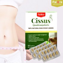 뉴질랜드 파이오라 시서스 1000mg 90정 / 시서스정/시서스알약, 1개