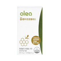 씹어먹는 그린 프로폴리스 추출물 플라보노이드 아연 츄어블 구미 꾸미 구강 항균 항산화 면역 건강 영양제 식물성 추어블 캡슐 대용량, 120캡슐 x 2개