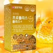 몸 속 염증 제거 영양제 프로폴리스 항산화 염증에좋은 판토텐산 아연 비타민d 프로폴리스 추출물, 6개월분