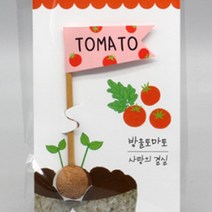 방울 토마토 모종 당뇨에좋은과일 효능 도마토 심기 키우기 유기농 씨드깃발