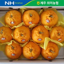 제주 위미농협 한라봉 5kg(11-20과), 단품