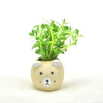 수초-노란곰 포트 몬니에리-귀여운 수족관 꾸미기