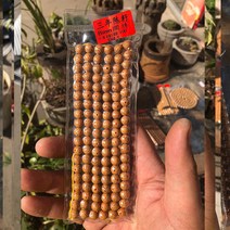 남성 해남 문스타 불교 108알 팔찌 여성 염주, T01-3년 묵은 씨 정월 8mm둥근구슬