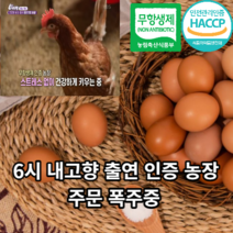 [친환경농법계란] 마미템 무항생제 동물복지 농장직영 맥반석 구운란 구운계란 유정란 참숯 훈제란 30구 60구 90구 초란 중란 대란 특란, 구운유정대란(60구)