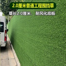 정부공사 둘레 벽인테리어 인조 푸른풀 피인공 플라스틱 모방 모조잔디 카페트 현장 방비 촬영